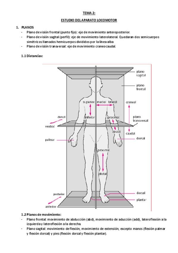 Miniatura del documento TEMA-2-locomotor.pdf