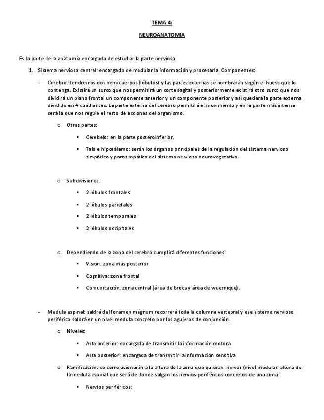 Miniatura del documento TEMA-4-NEUROANATOMIA.pdf