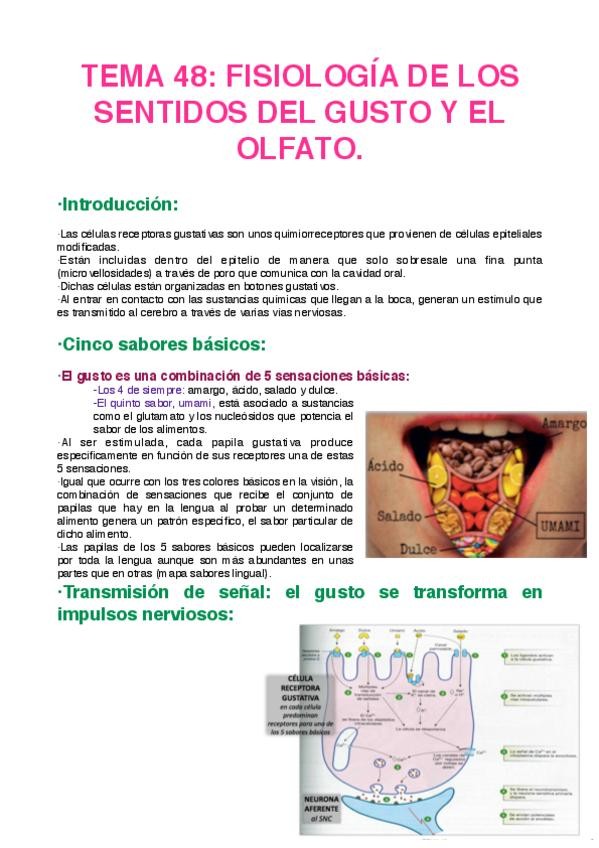 Miniatura del documento TEMA-48.pdf
