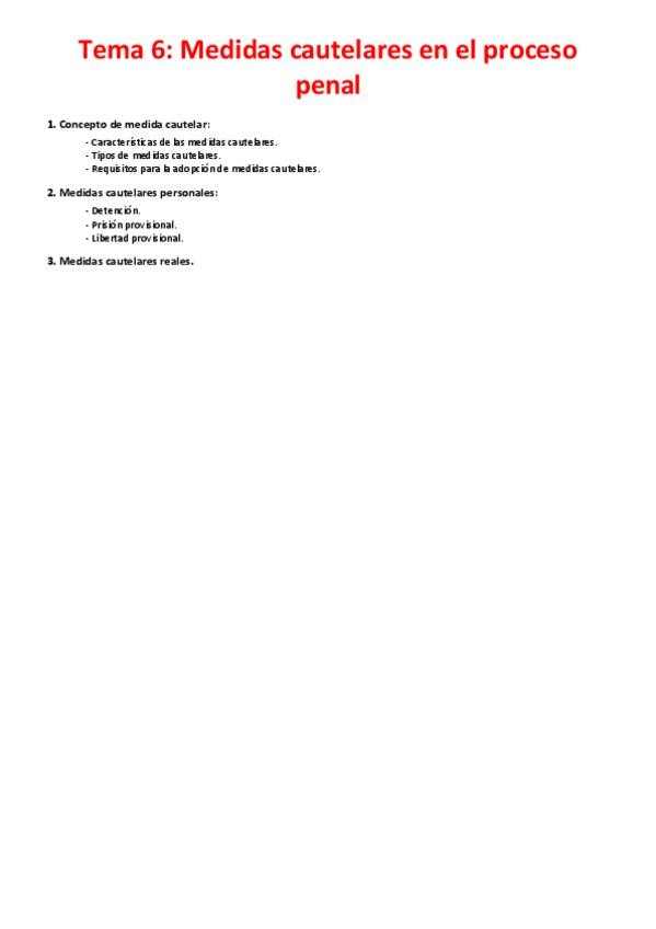 Miniatura del documento Tema-6-Medidas-cautelares-en-el-proceso-penal.pdf