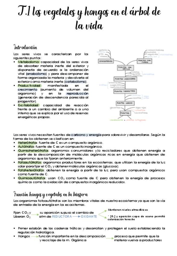 Miniatura del documento Tema-1-Los-vegetales-en-el-arbol-de-la-vida.pdf