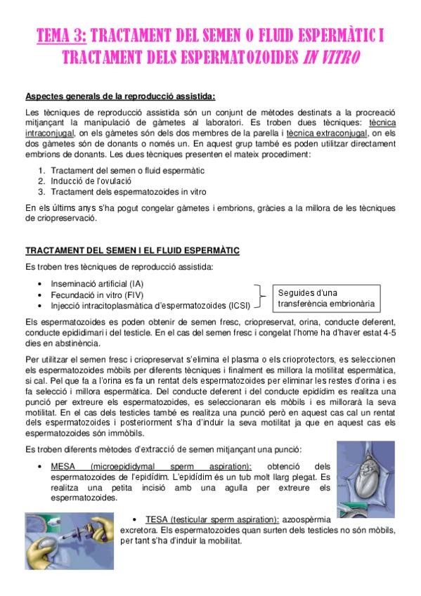 Miniatura del documento TEMA-3.pdf