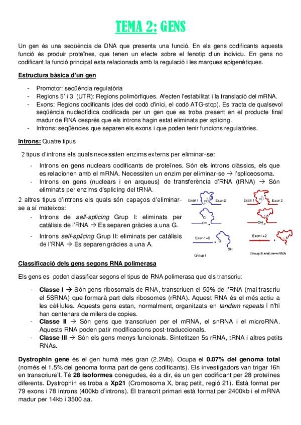 Miniatura del documento TEMA-2.pdf