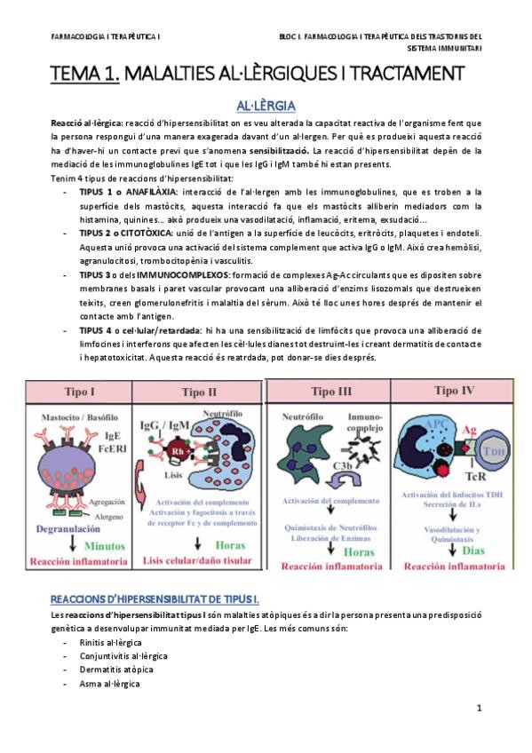Miniatura del documento FTI.pdf