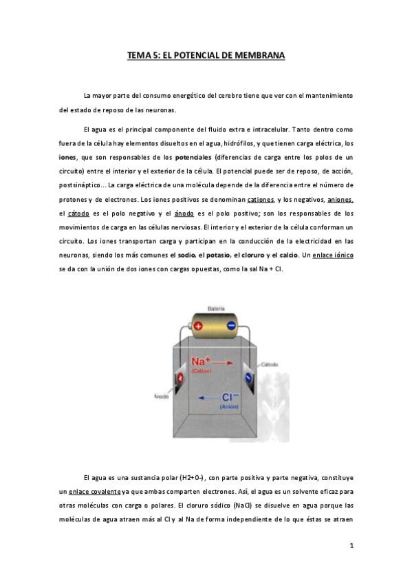 Miniatura del documento TEMA-5-FN.pdf
