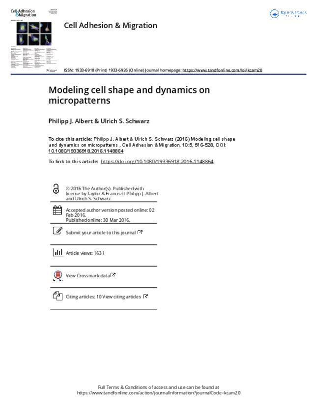 Miniatura del documento Modeling-cell-shape-and-dynamics-on-micropatterns.pdf