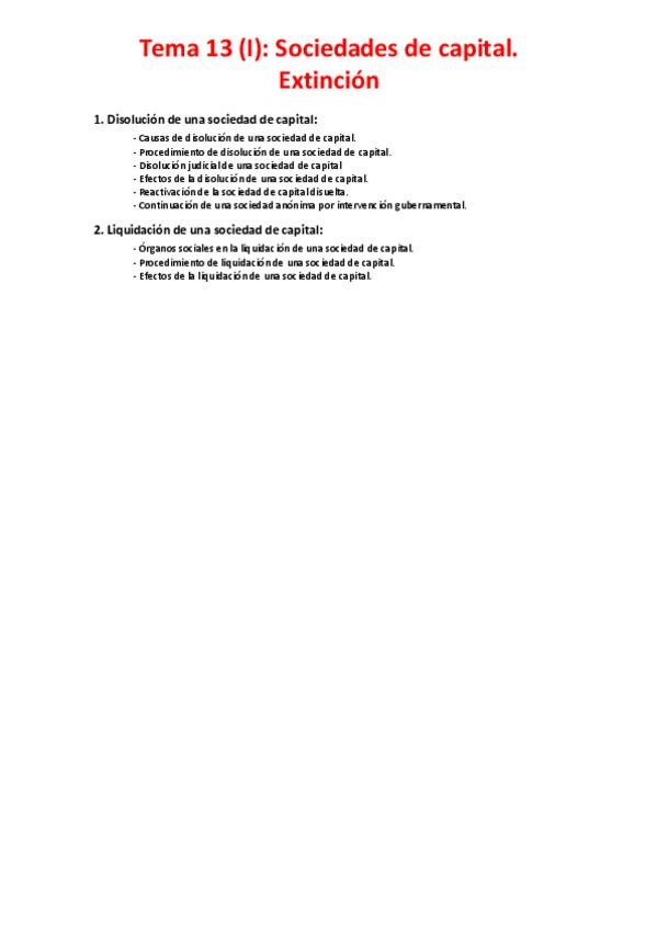 Miniatura del documento Tema-13-I-Sociedades-de-capital.pdf