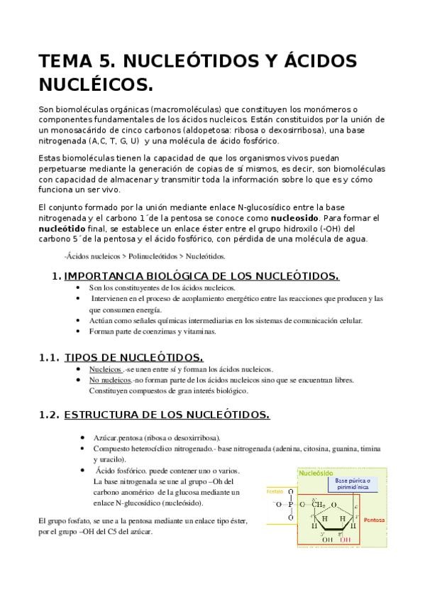 Miniatura del documento TEMA-5.docx