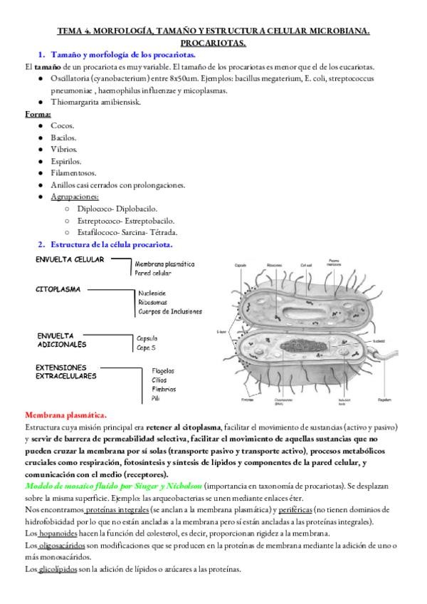 Miniatura del documento micro-tema4.pdf