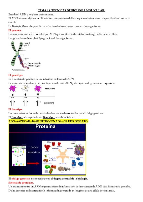 Miniatura del documento MICROBIOLOGIA-TEMA-15.pdf