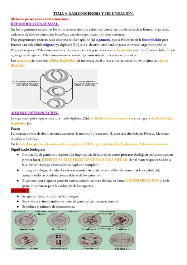 Miniatura del documento BIOLOGIA-TEMA-9.pdf
