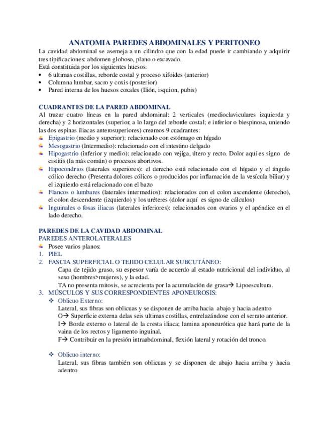 Miniatura del documento ANATOMIA-PAREDES-ABDOMINALES-Y-PERITONEO.docx