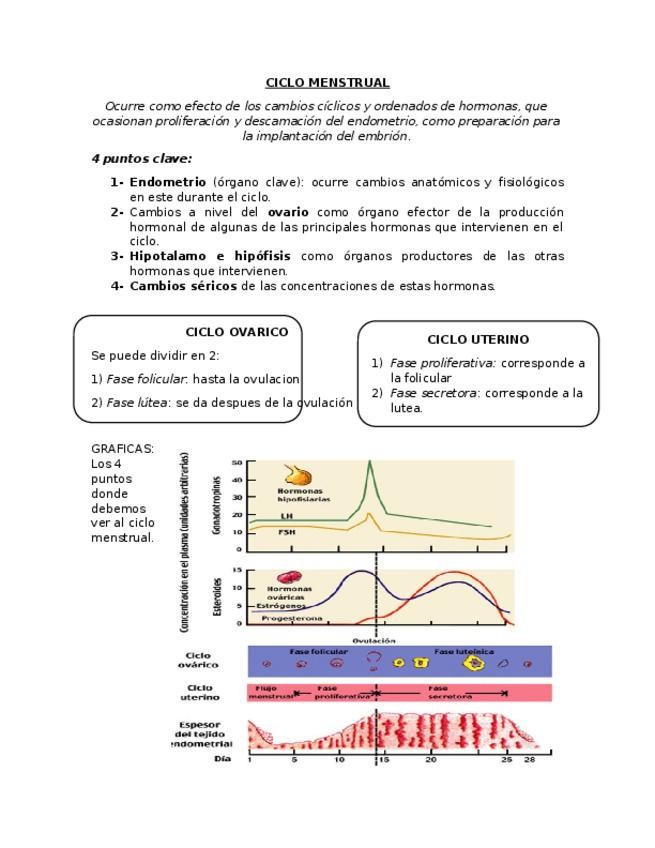 Miniatura del documento 4.docx
