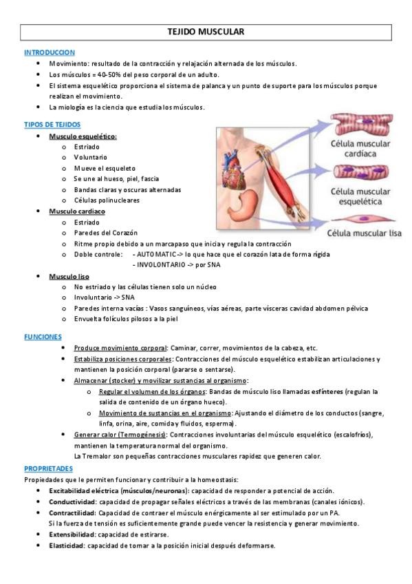 Miniatura del documento Fisiologia-Tejido-Muscular.pdf