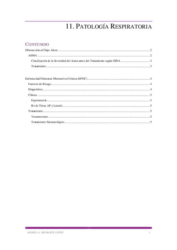 Miniatura del documento 11.pdf