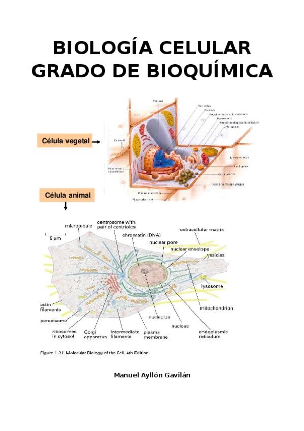 Miniatura del documento BC-temario-el-definitivo.docx