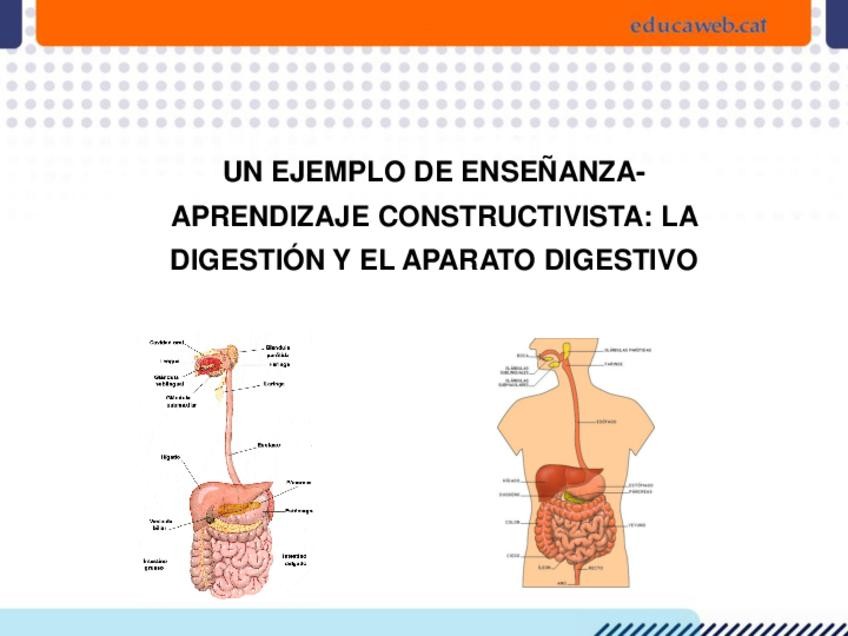Miniatura del documento Digestio-i-aparell-digestiu-2-1.pdf