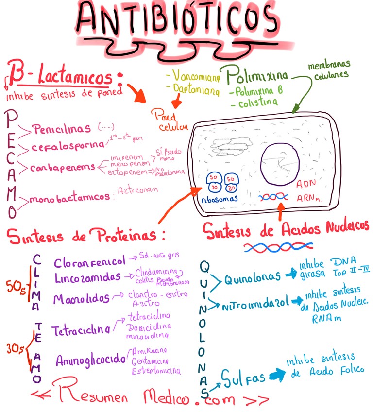 Miniatura del documento ANTIBIOTICOS - MECANISMO DE ACCION