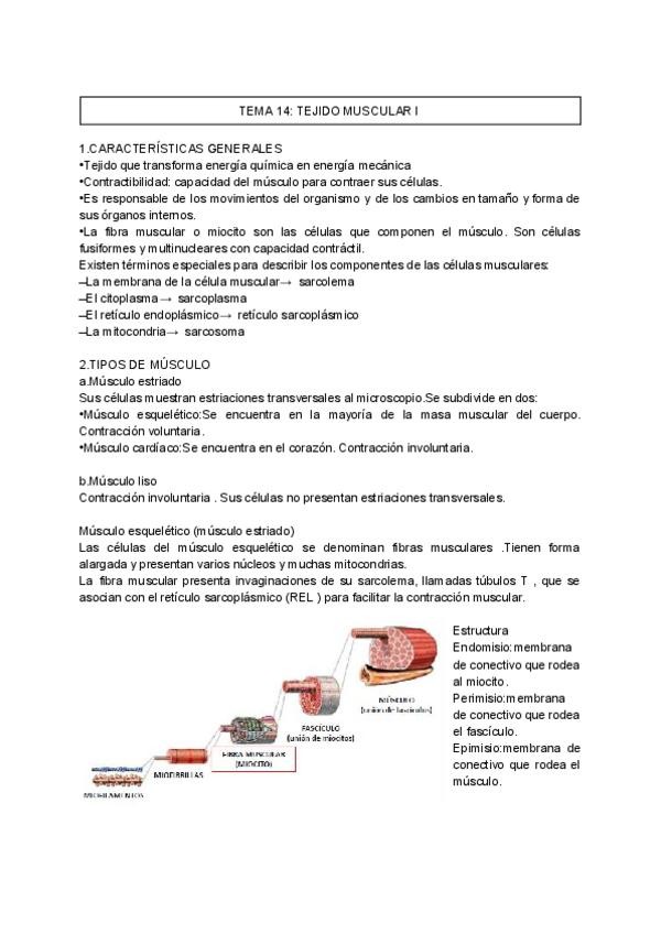 Miniatura del documento Tema-14-bio-celular.pdf
