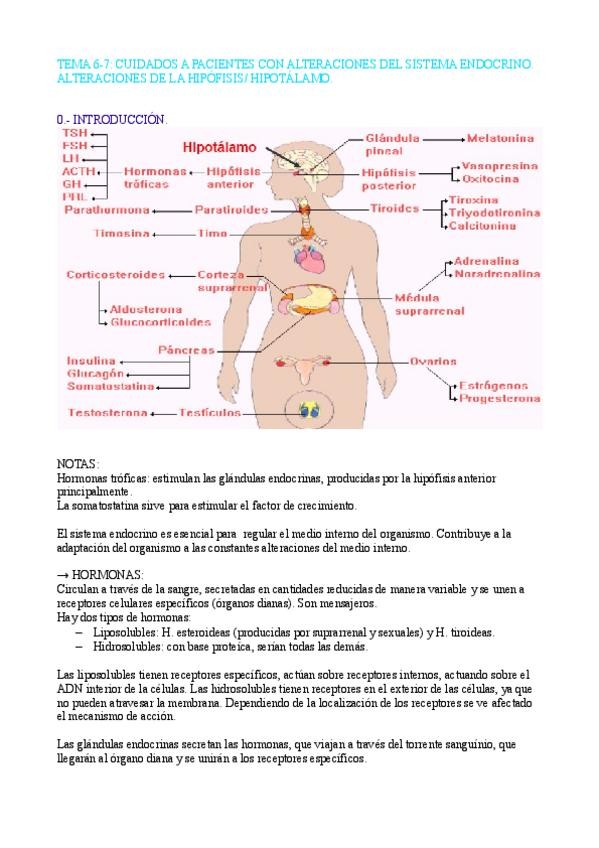 Miniatura del documento TEMA 6-7 CLINICA.pdf