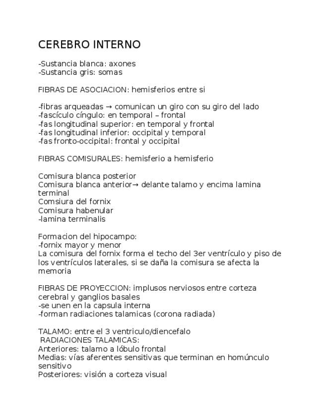 Miniatura del documento CEREBRO-INTERNO.docx
