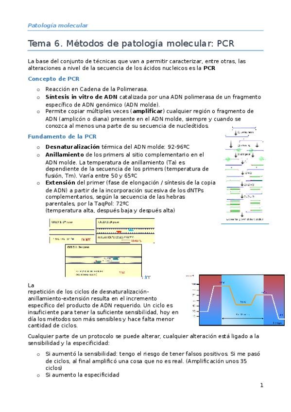 Miniatura del documento Tema-6.docx