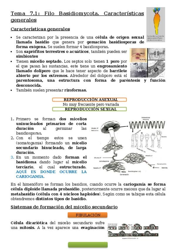 Miniatura del documento Tema-7.docx