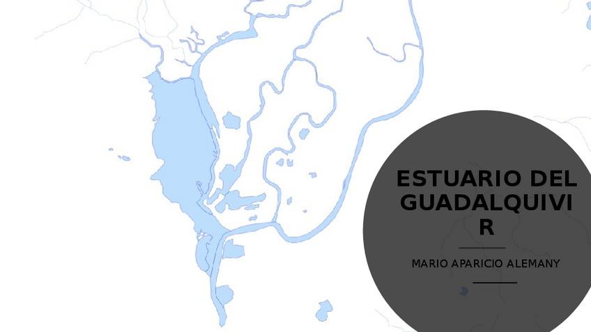 Miniatura del documento ESTUARIO-DEL-GUADALQUIVIR.pptx