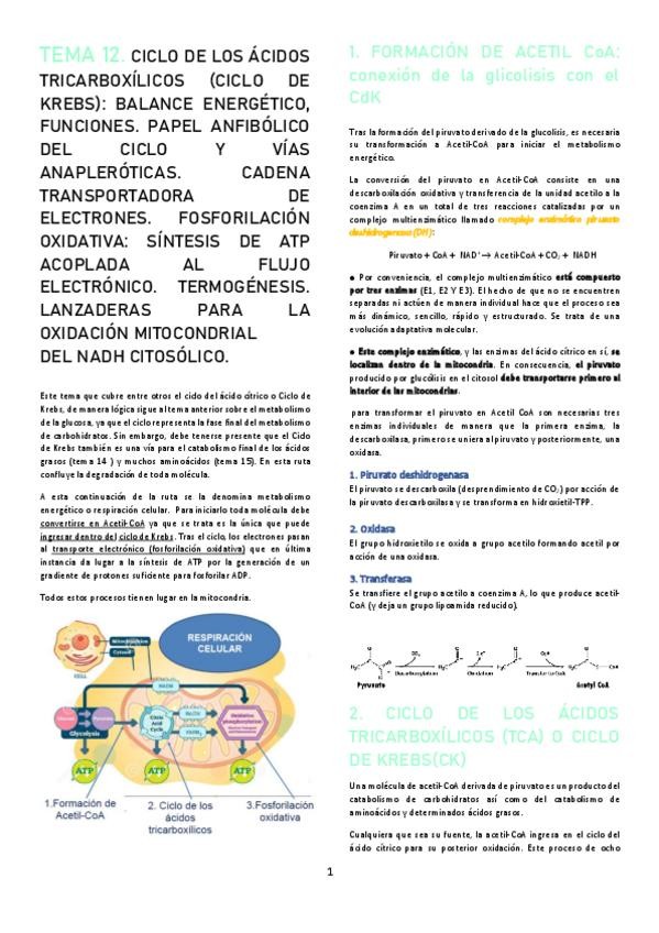 Miniatura del documento TEMA-12.pdf