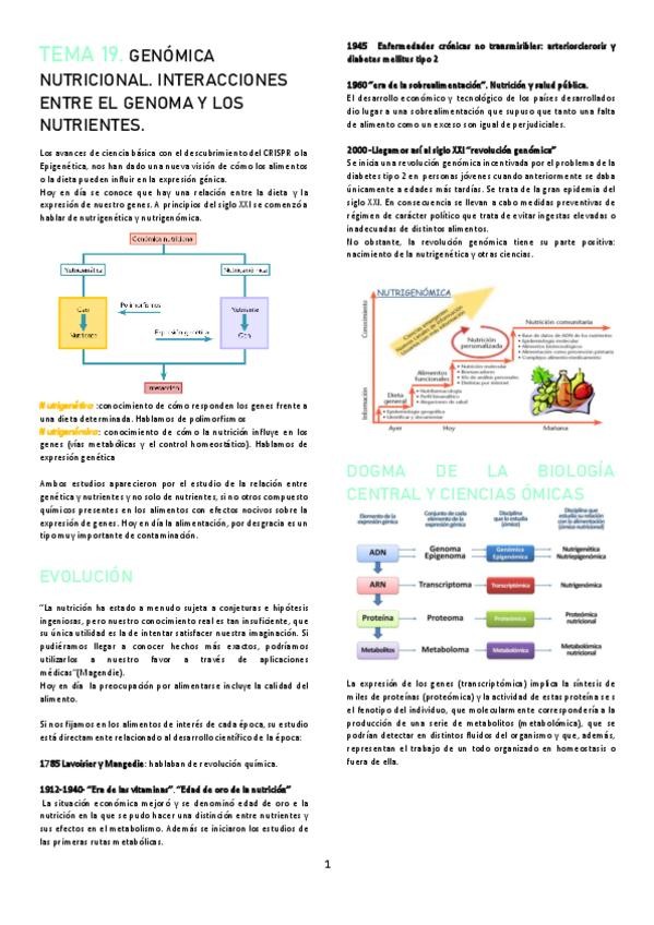 Miniatura del documento TEMA-19.pdf