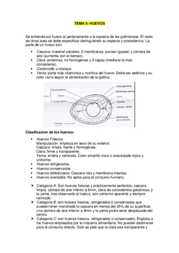 Miniatura del documento T5y62020.pdf