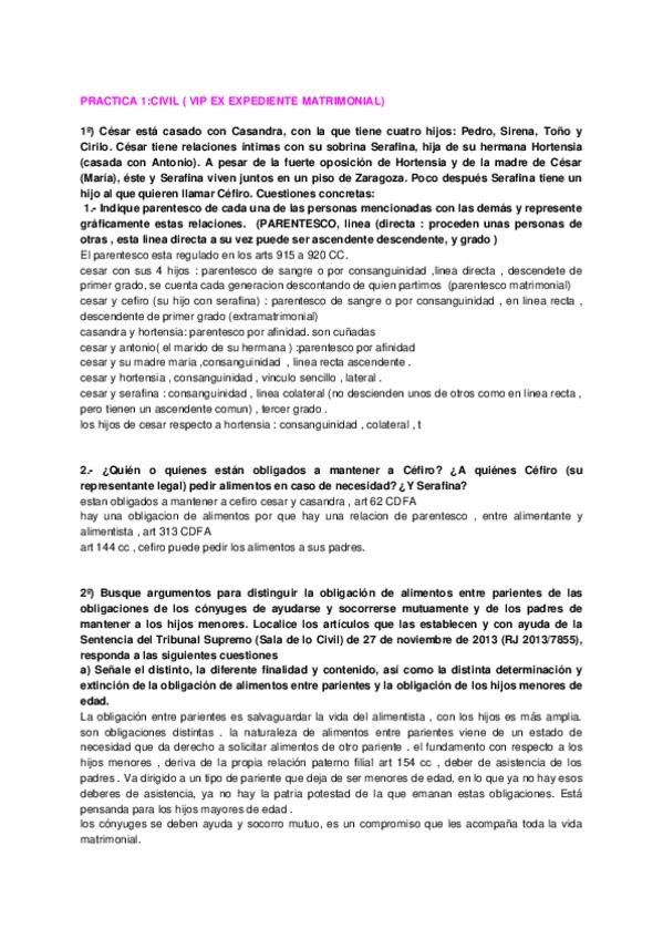 Miniatura del documento CIVIL-PRACTICA-1.docx