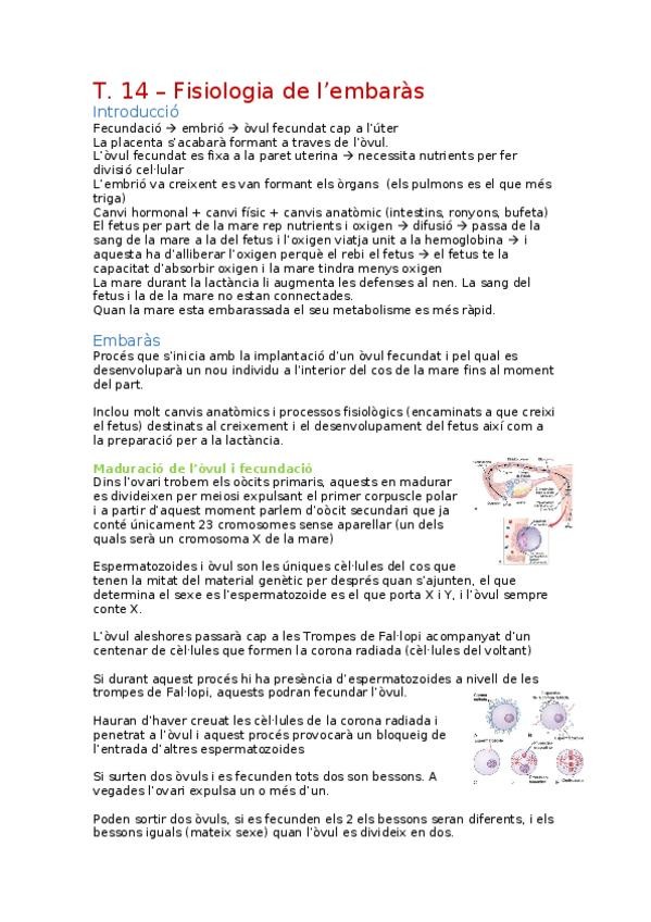 Miniatura del documento Fisiologia-de-lembaras.docx