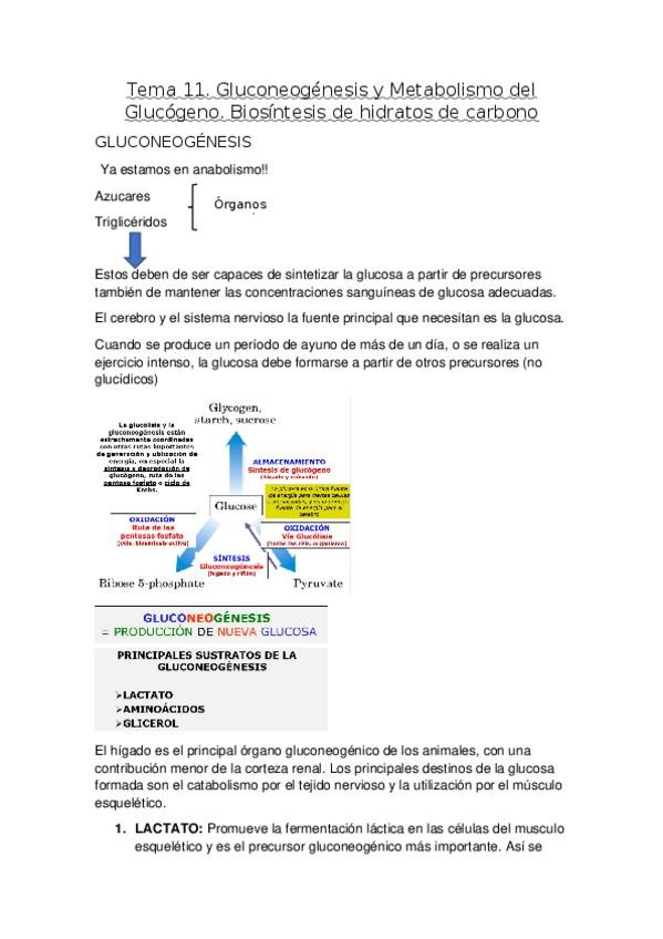 Miniatura del documento T11.docx