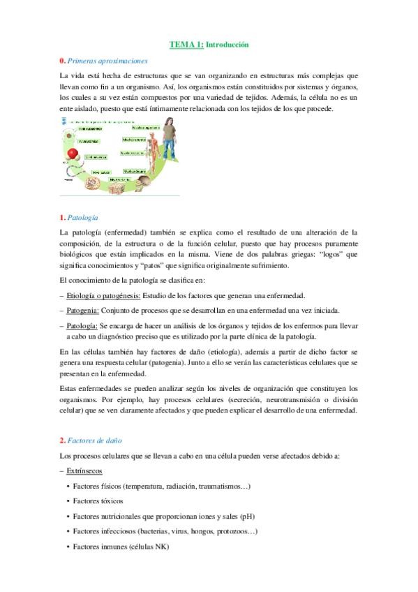 Miniatura del documento TEMA-1-Introduccion.docx