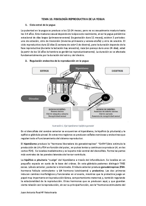 Miniatura del documento Tema-10.pdf