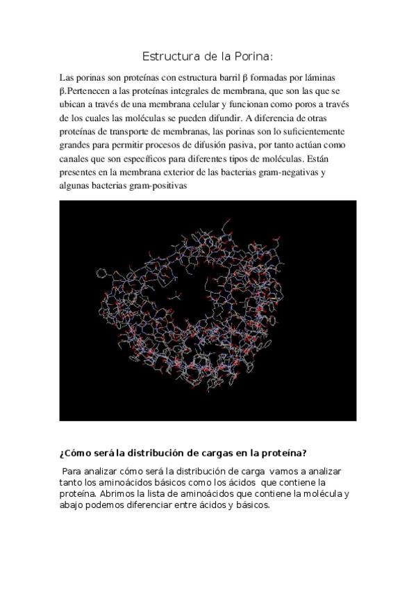 Miniatura del documento Estructura-de-la-porina.docx