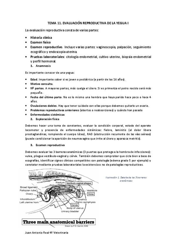 Miniatura del documento Tema-11.pdf