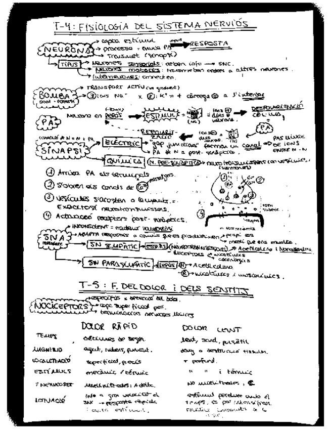 Miniatura del documento RESUM-TEMA-4-7.pdf