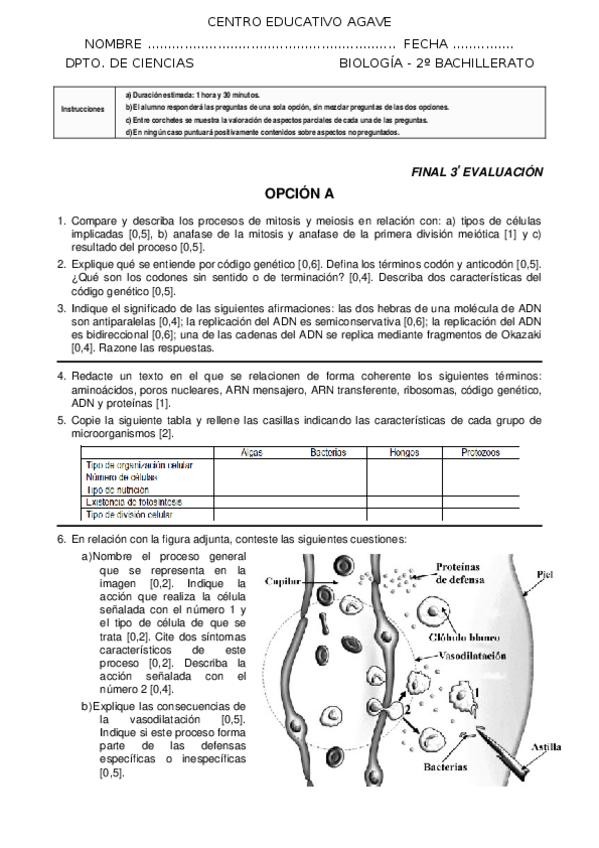 Miniatura del documento Final-3aev-11-12.doc