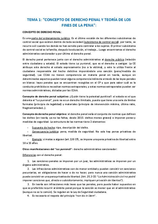 Miniatura del documento tema-1-penal.pdf