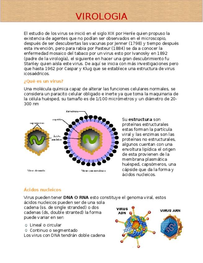 Miniatura del documento Virus-generalidades.docx