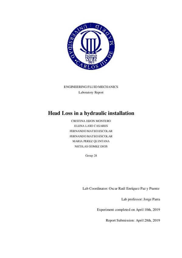 Miniatura del documento Head-Loss-write-up.docx