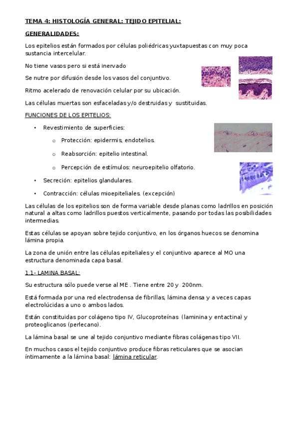 Miniatura del documento TEMA-4.docx