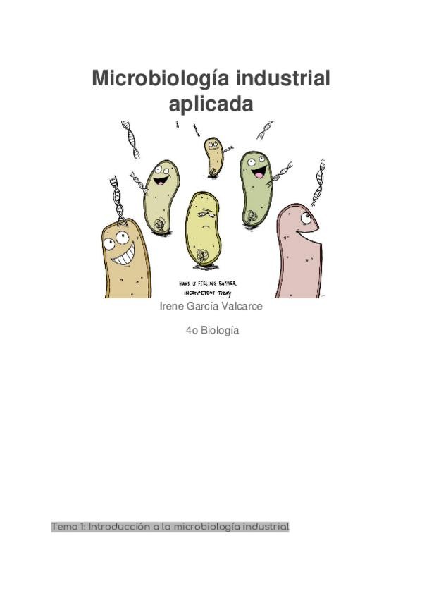 Miniatura del documento Micro-industrial-1.docx