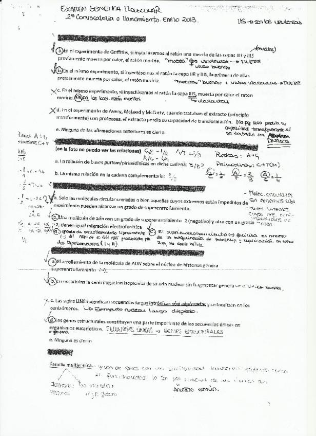 Miniatura del documento 5 - exm genética 3.pdf