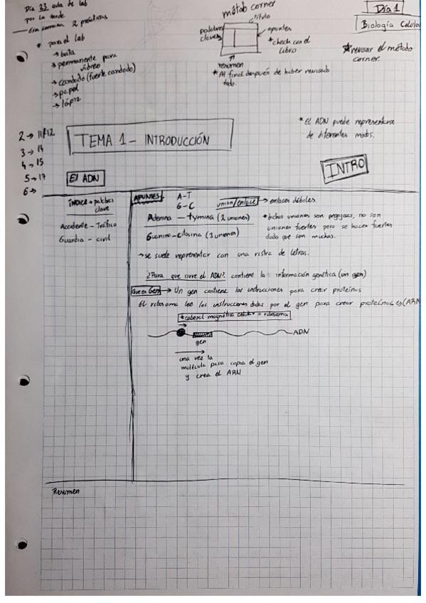 Miniatura del documento Biocelapuntes.pdf