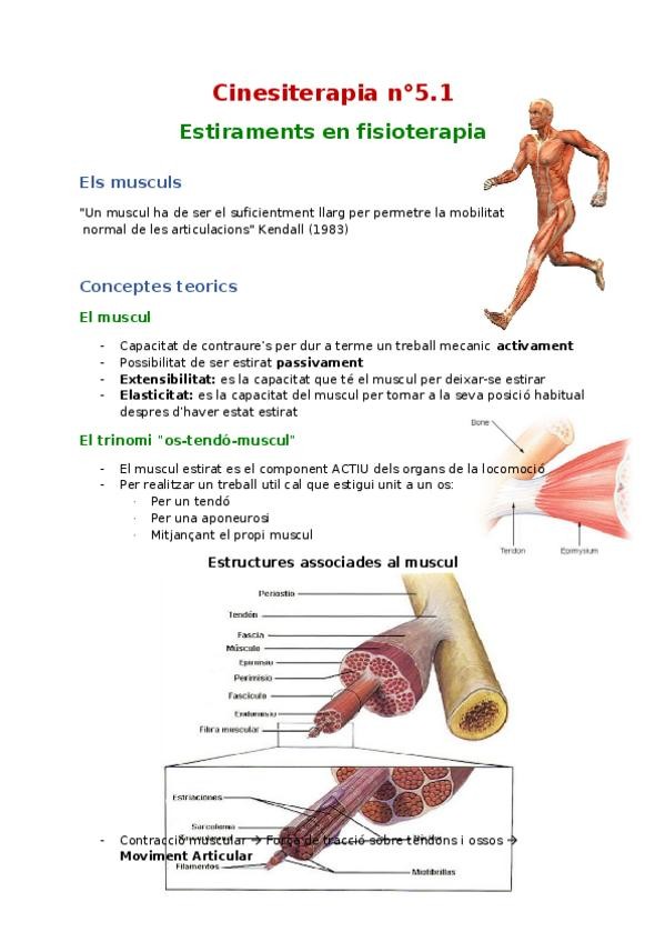 Miniatura del documento Cinesiterapia-n5.docx