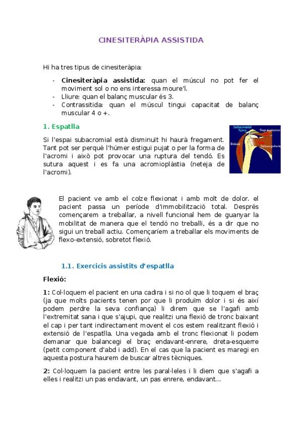 Miniatura del documento CINESITERAPIA-ASSISTIDA.docx