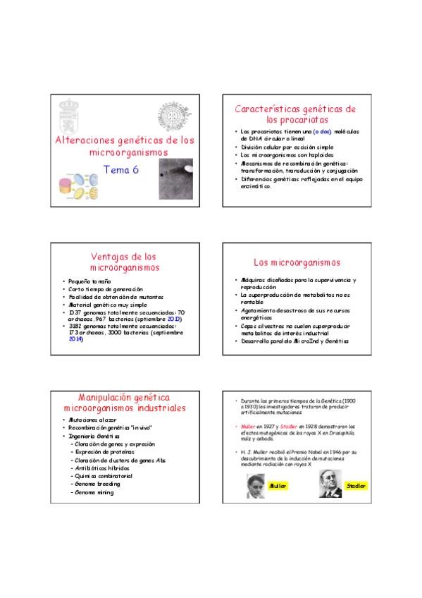 Miniatura del documento tema 6.pdf